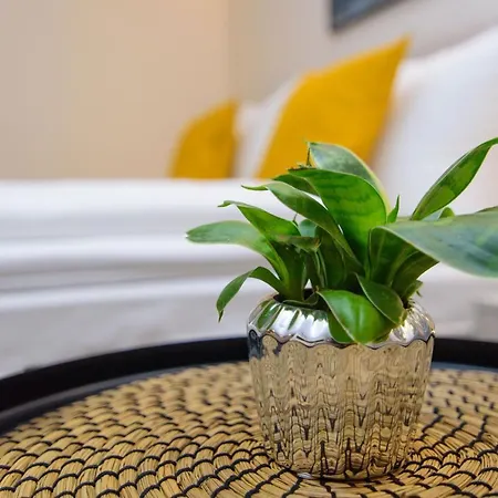 Twentyfour Living 4*